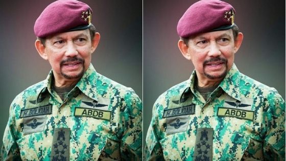 Sultan Of Brunei Net Worth