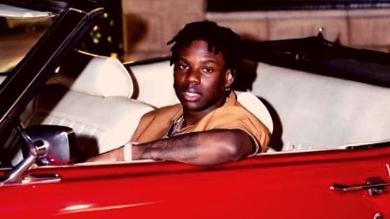 Rema FYN (Fresh Young Nigga) lyrics